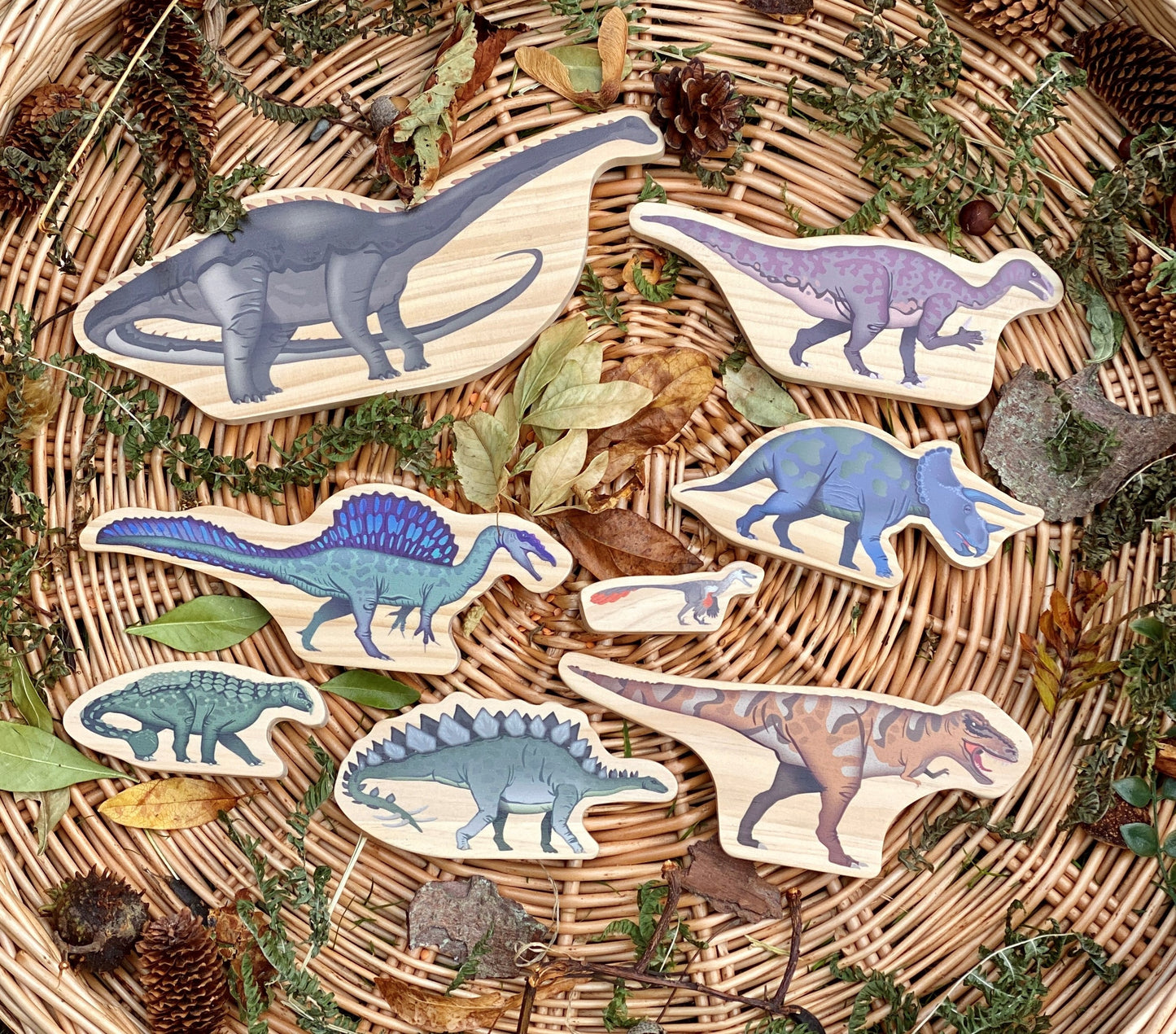Dinosaurs Wooden Characters great for small world play.
