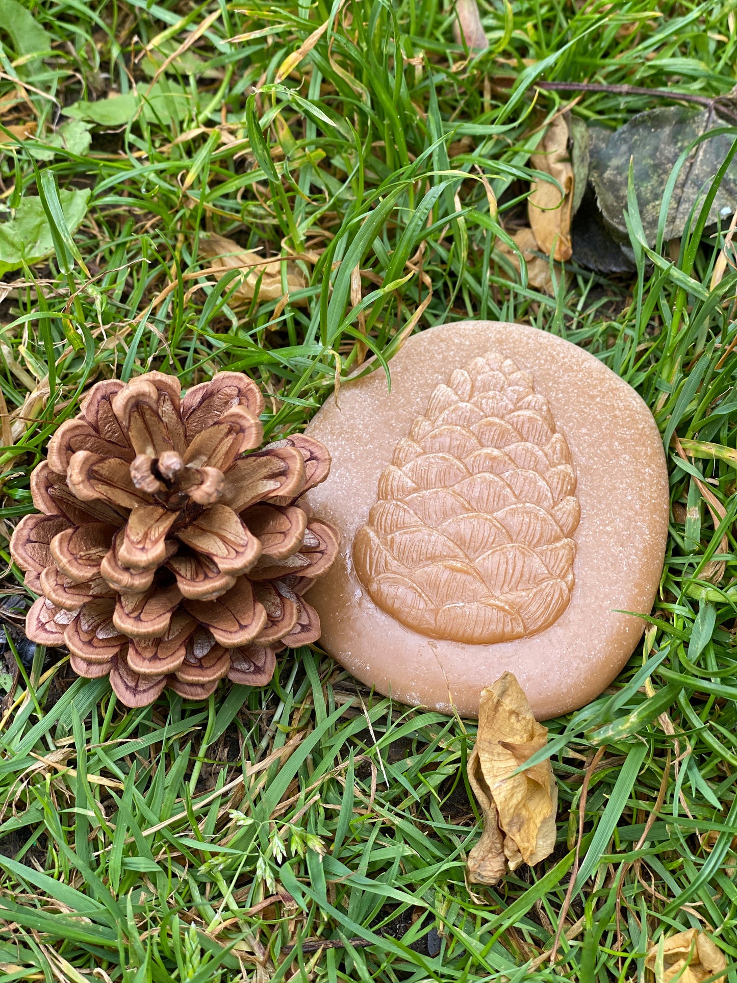 Lets Investigate Nature | Learning and Exploring Through Play