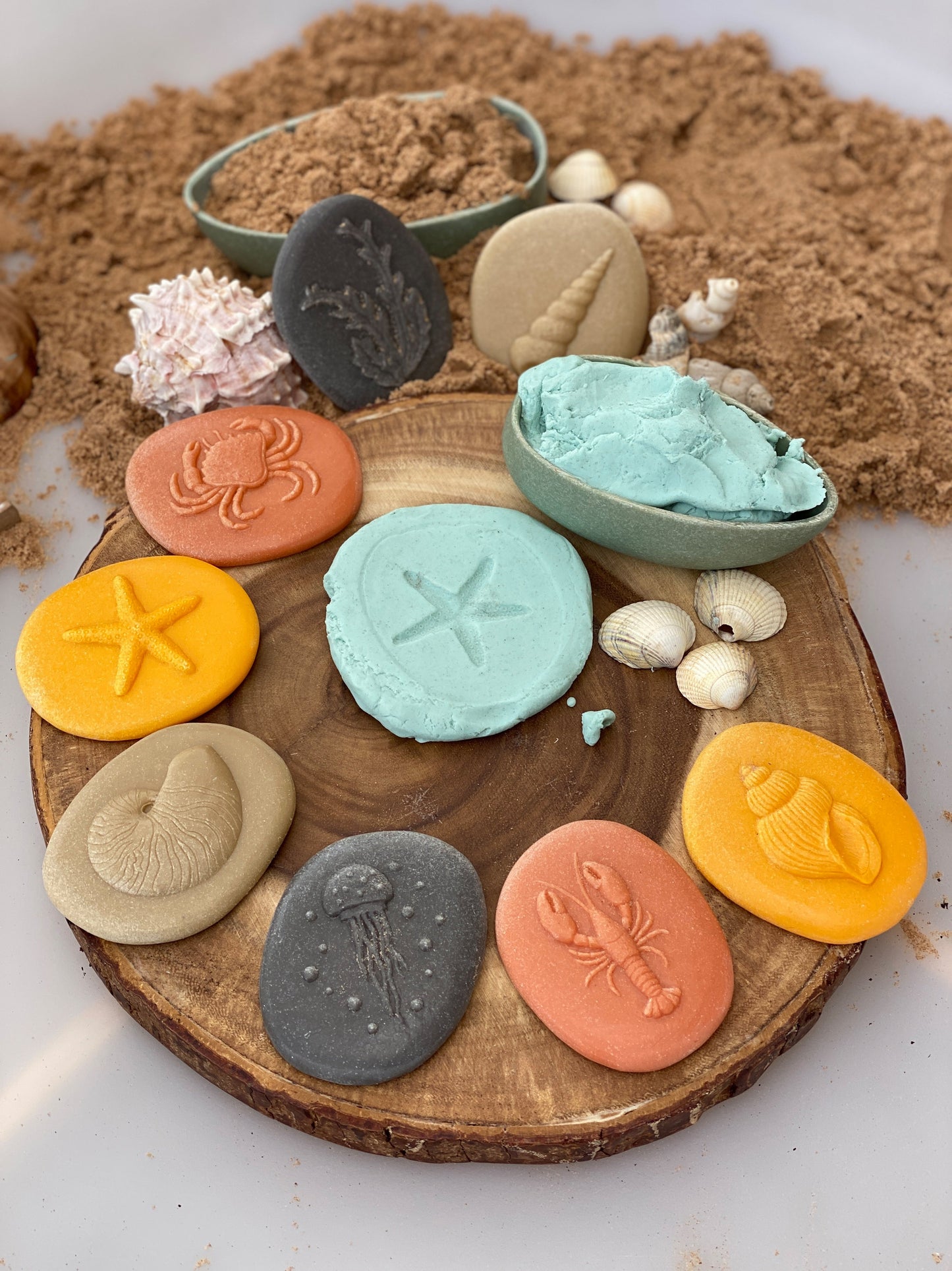 Lets Investigate Seashore | Learning and Exploring Through Play