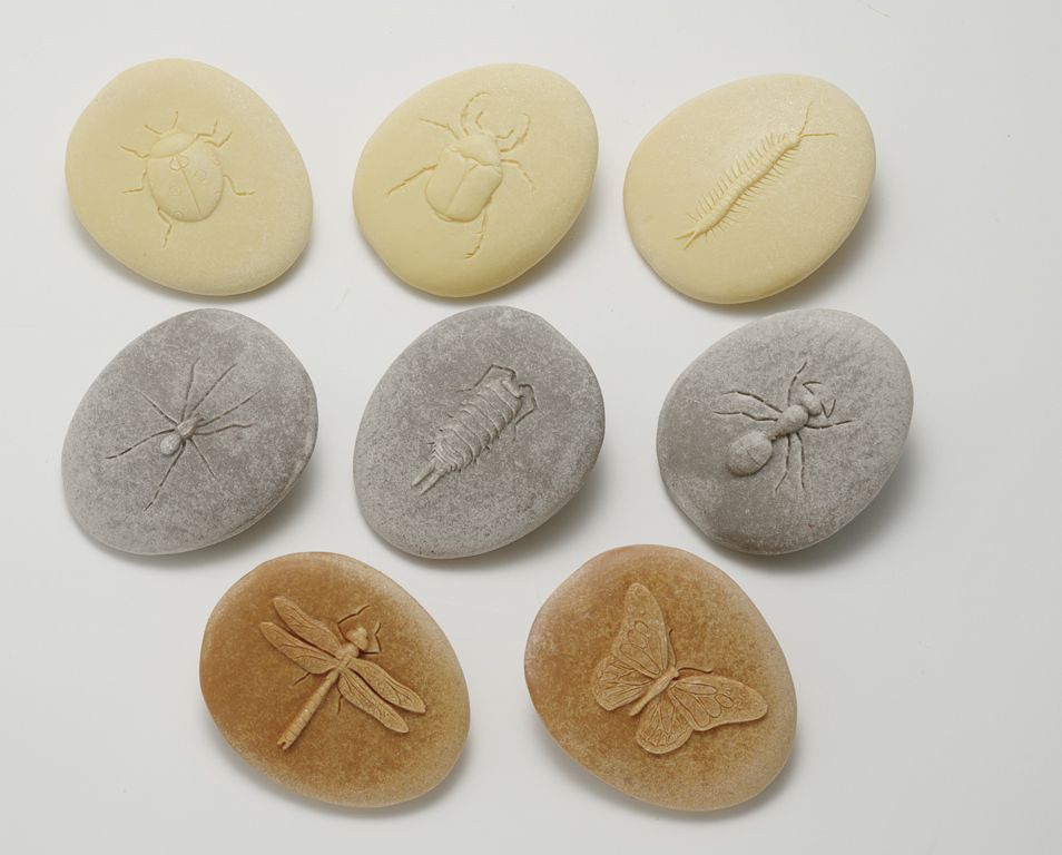 Lets Investigate Bugs