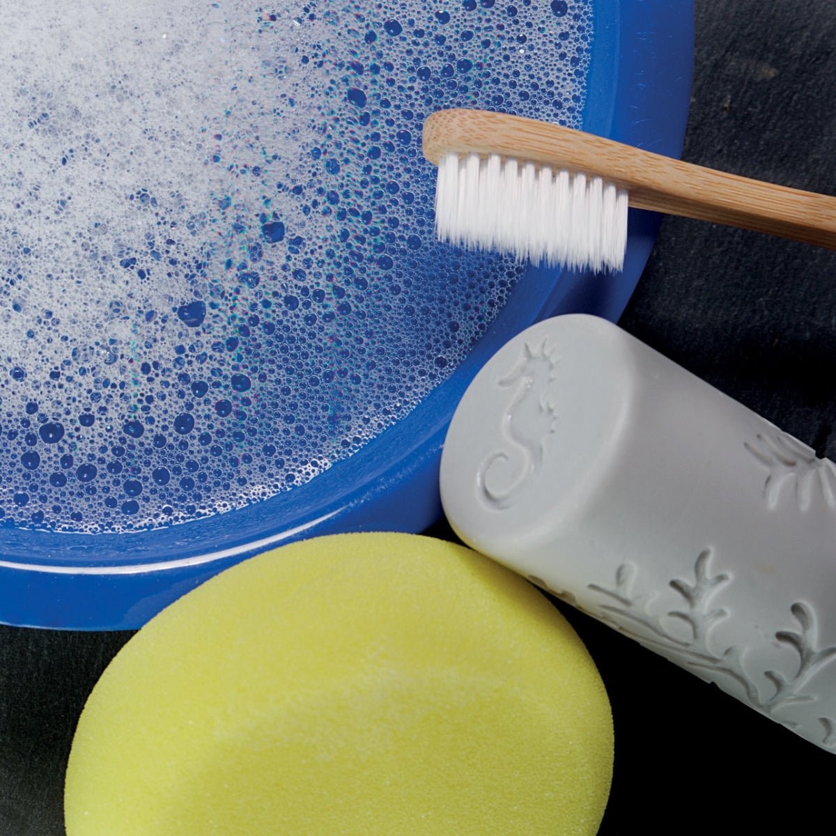 Let’s Roll Ocean Life - 6