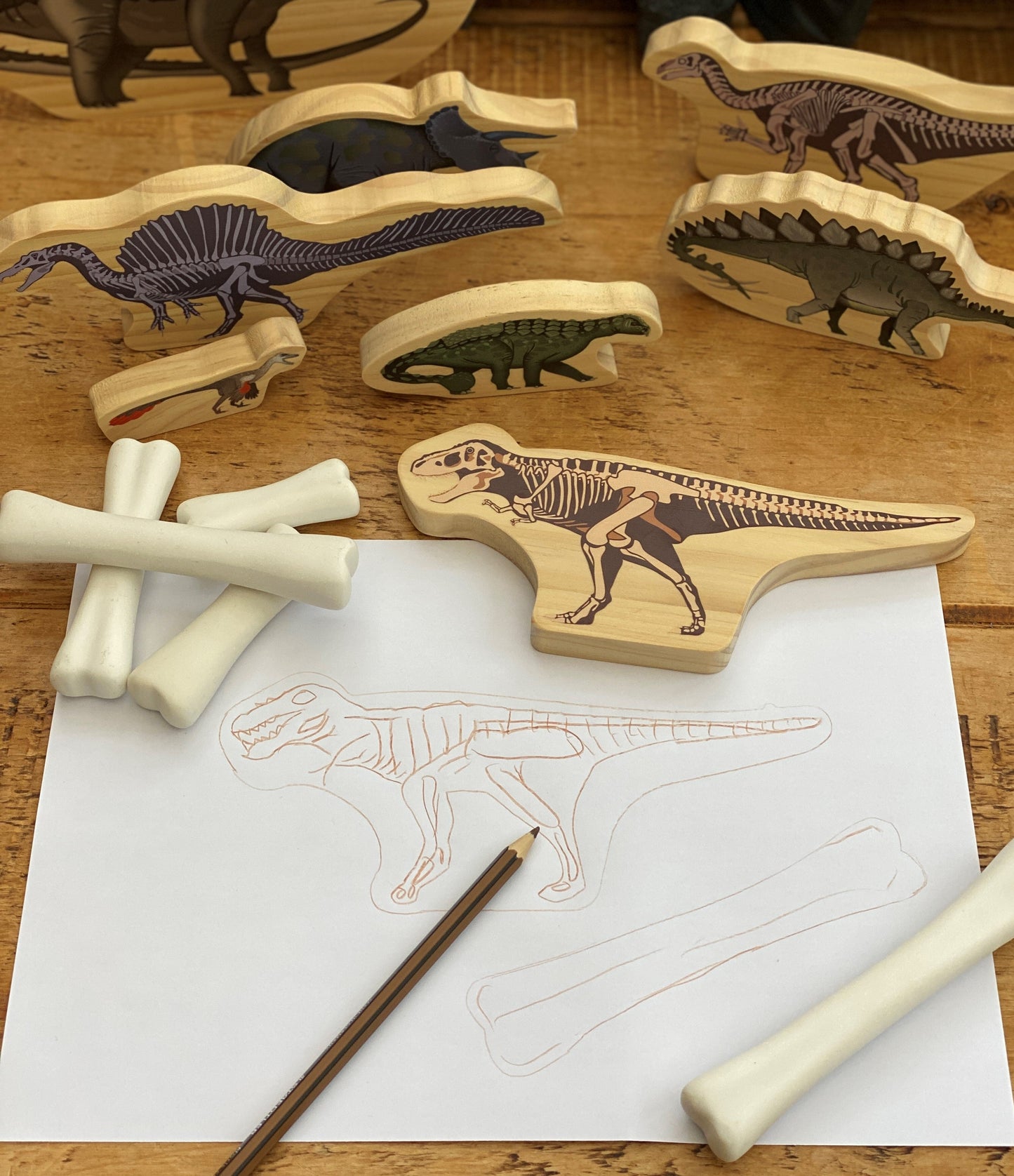 Dinosaurs Wooden Characters great for small world play.