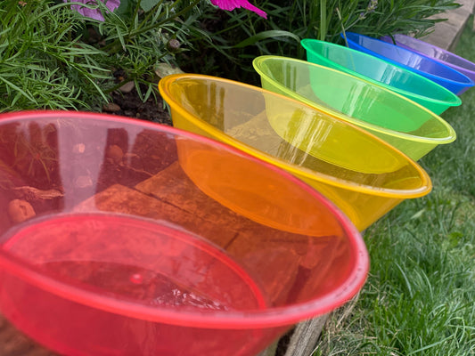 Translucent Colour Bowls | Learning and Exploring Through Play