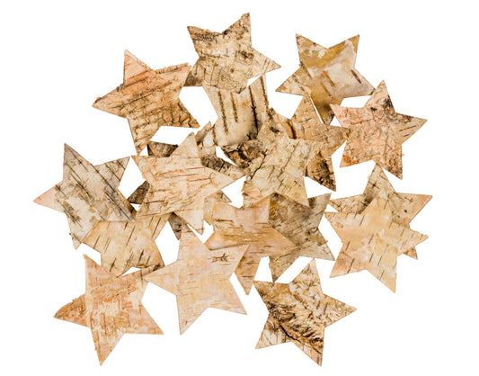 Bark Stars | Learning and Exploring Through Play
