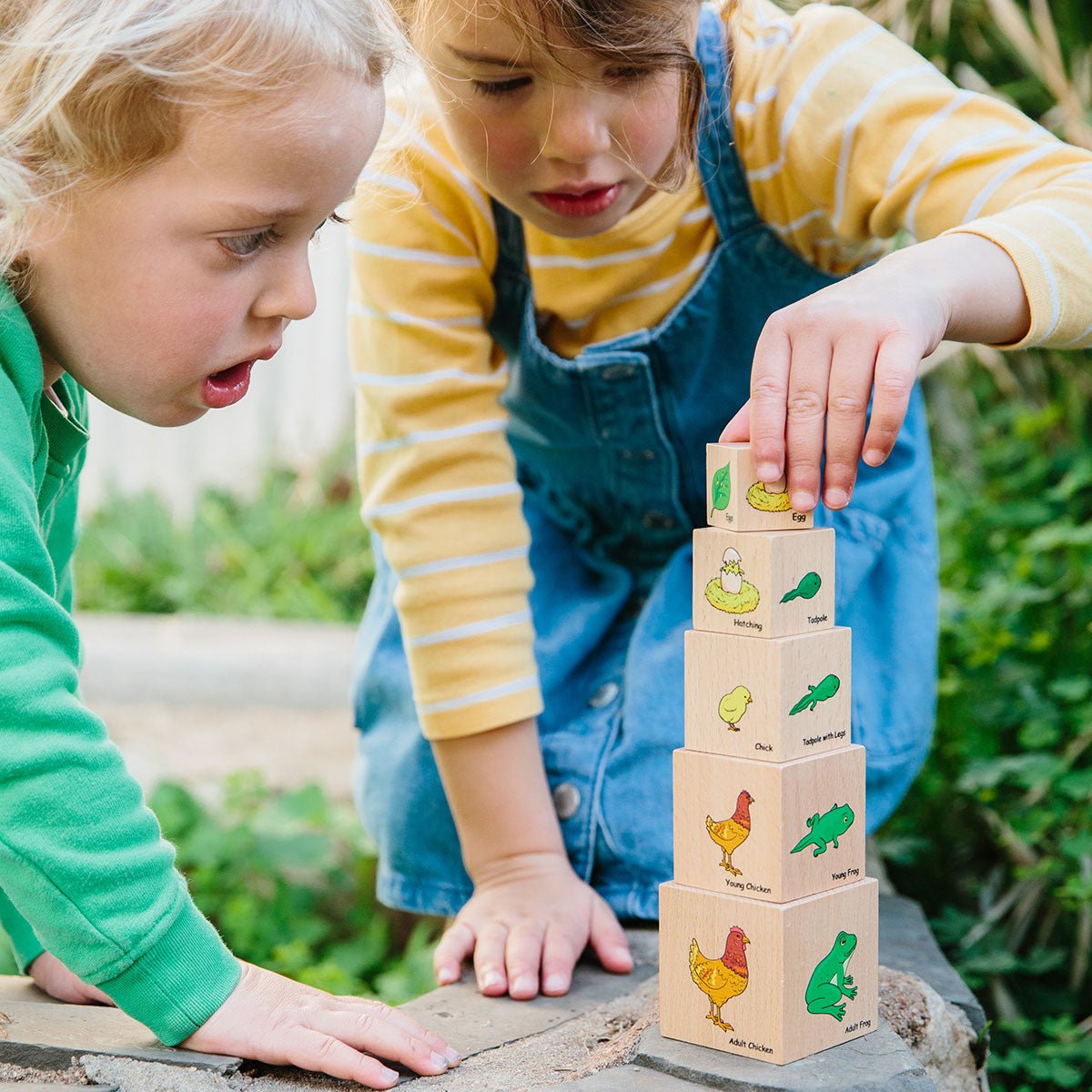 Life Cycle Wooden Blocks | Learning and Exploring Through Play
