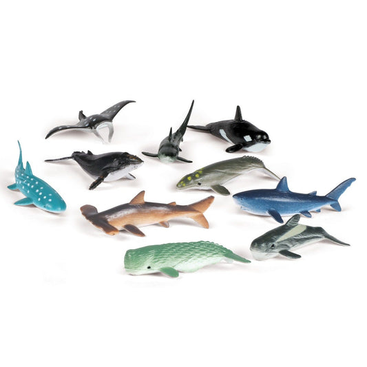 Ocean Counters (Set Of 10)