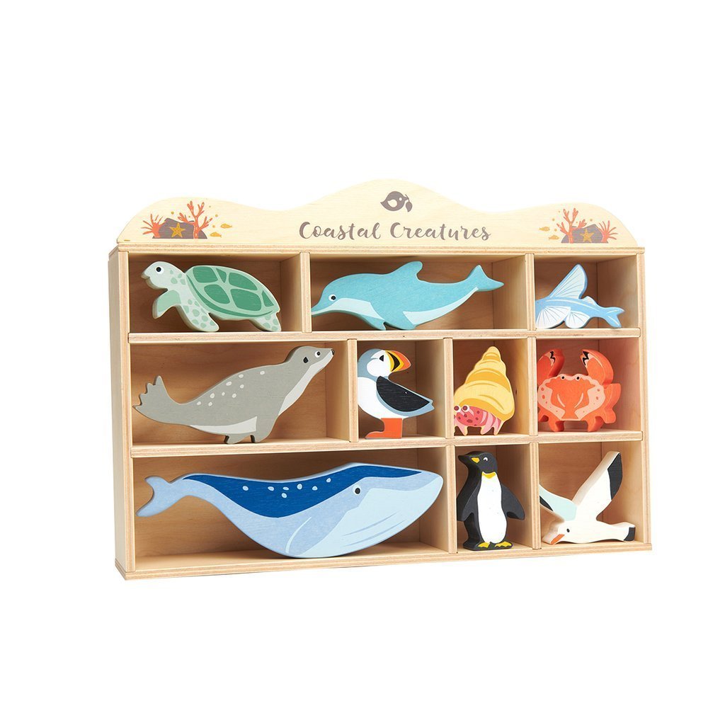 10 Coastal Creatures with Display Unit | Learning and Exploring Through Play