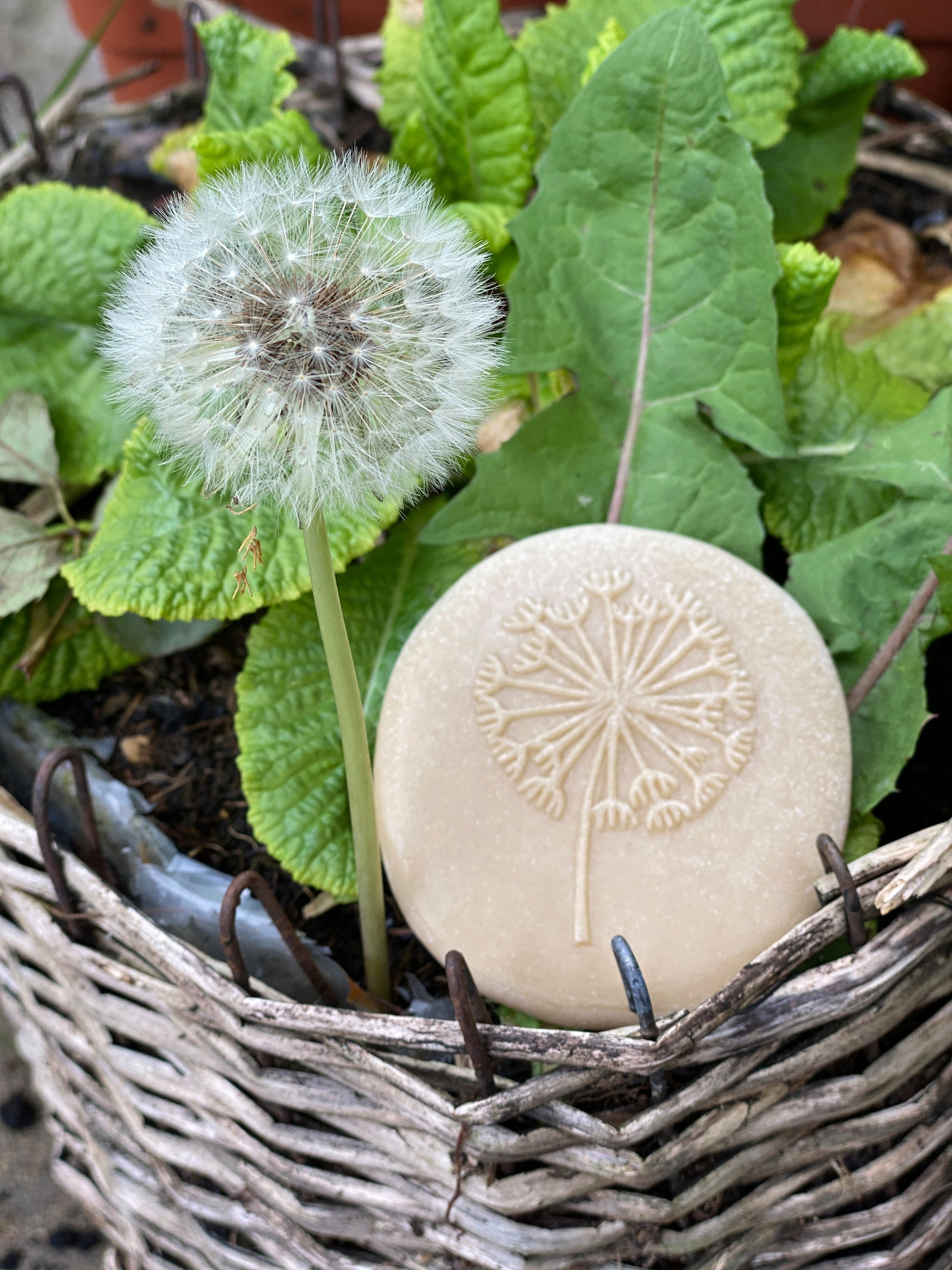 Lets Investigate Nature | Learning and Exploring Through Play