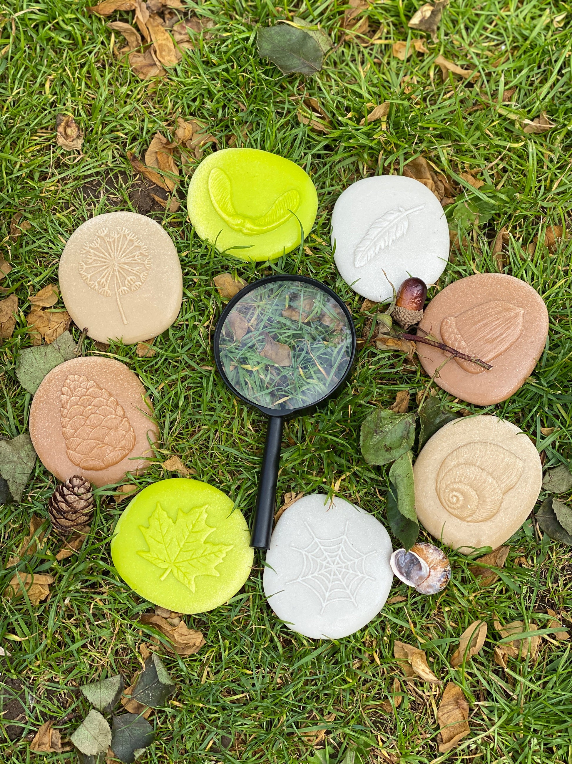Lets Investigate Nature | Learning and Exploring Through Play