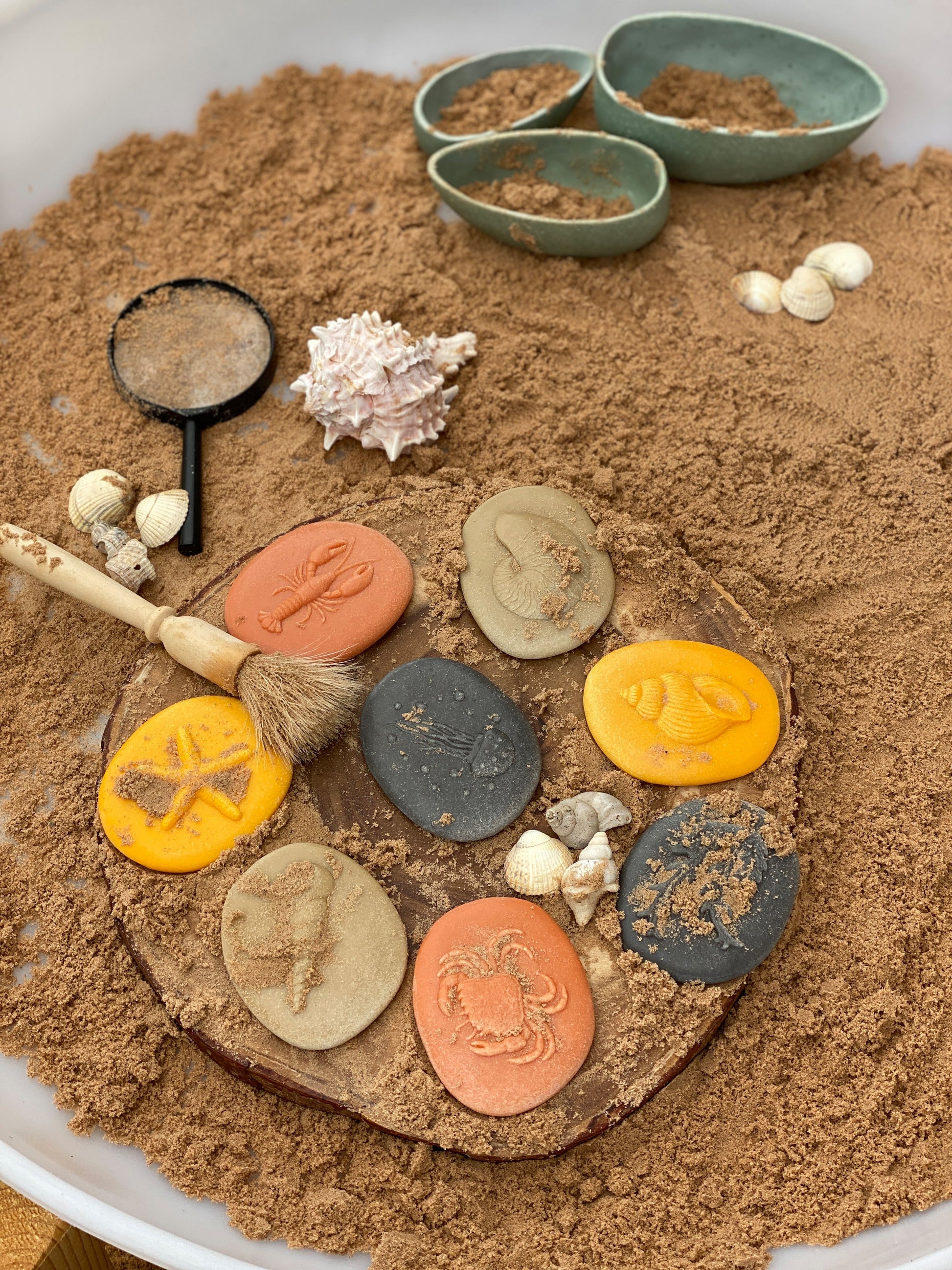Lets Investigate Seashore | Learning and Exploring Through Play