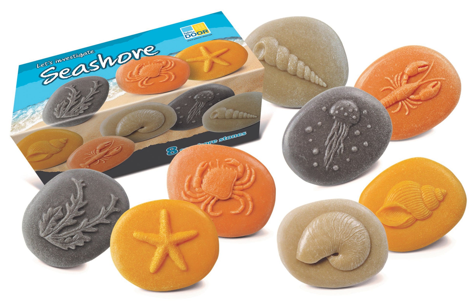 Lets Investigate Seashore | Learning and Exploring Through Play