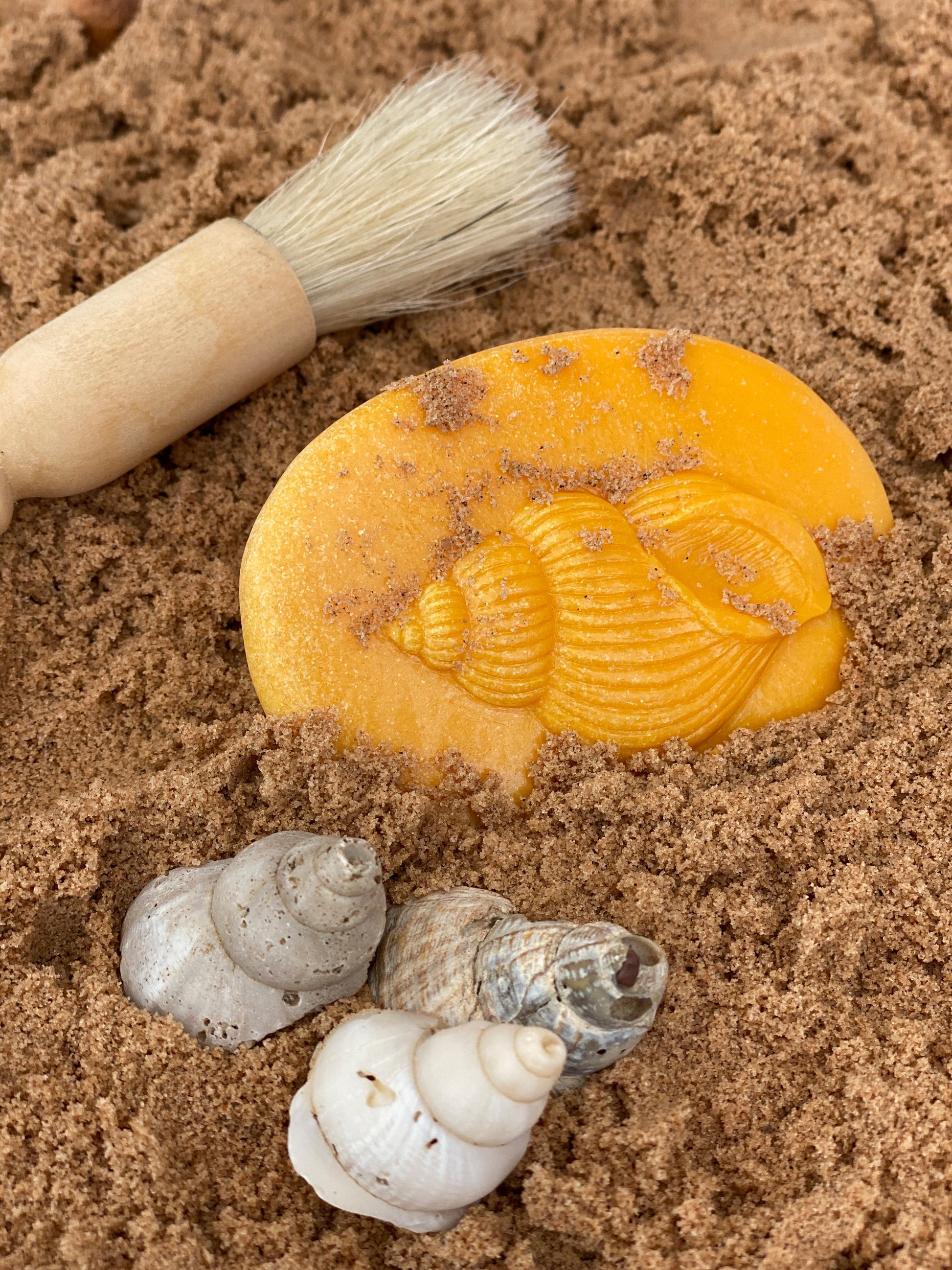 Lets Investigate Seashore | Learning and Exploring Through Play