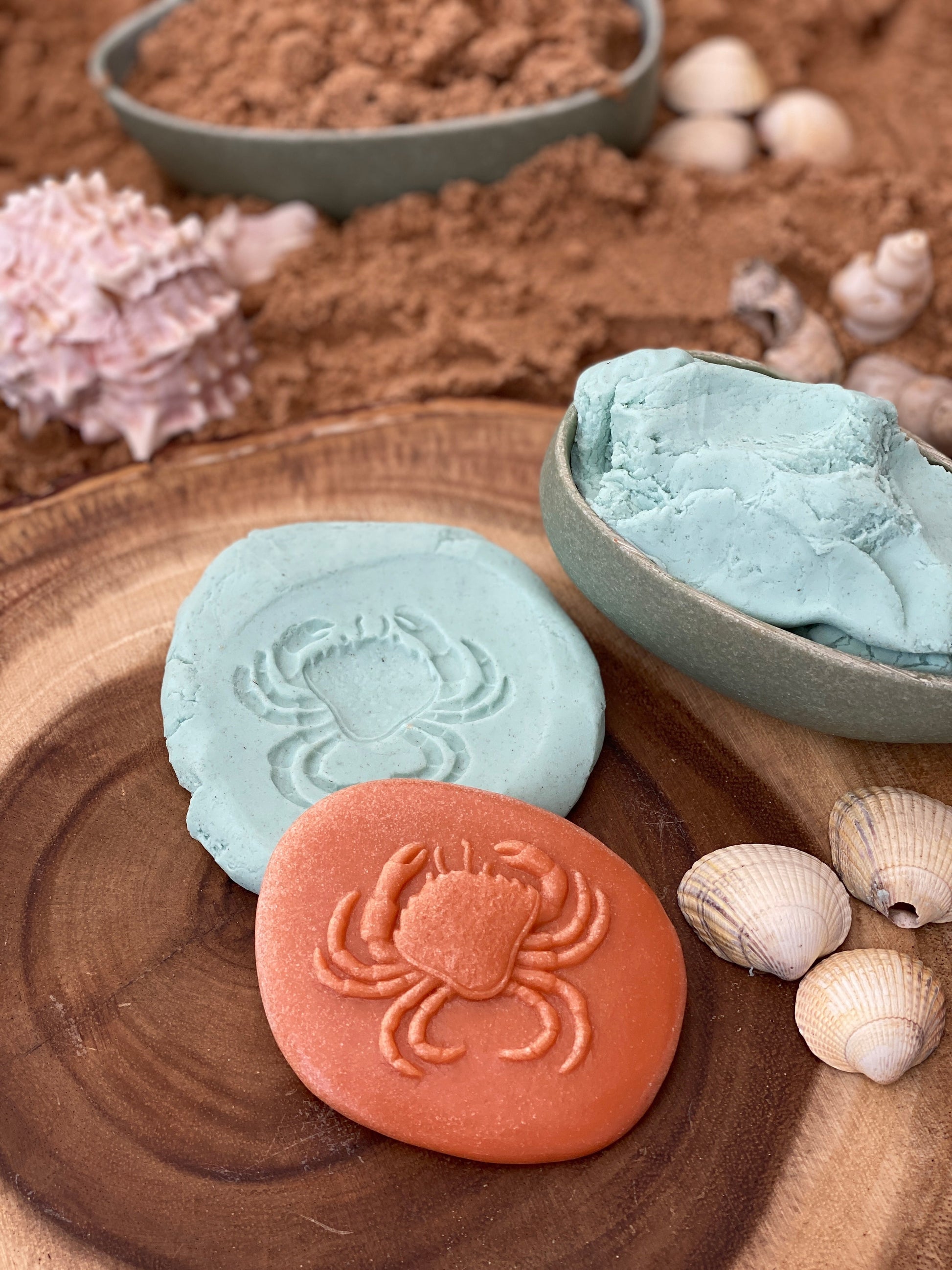 Lets Investigate Seashore | Learning and Exploring Through Play