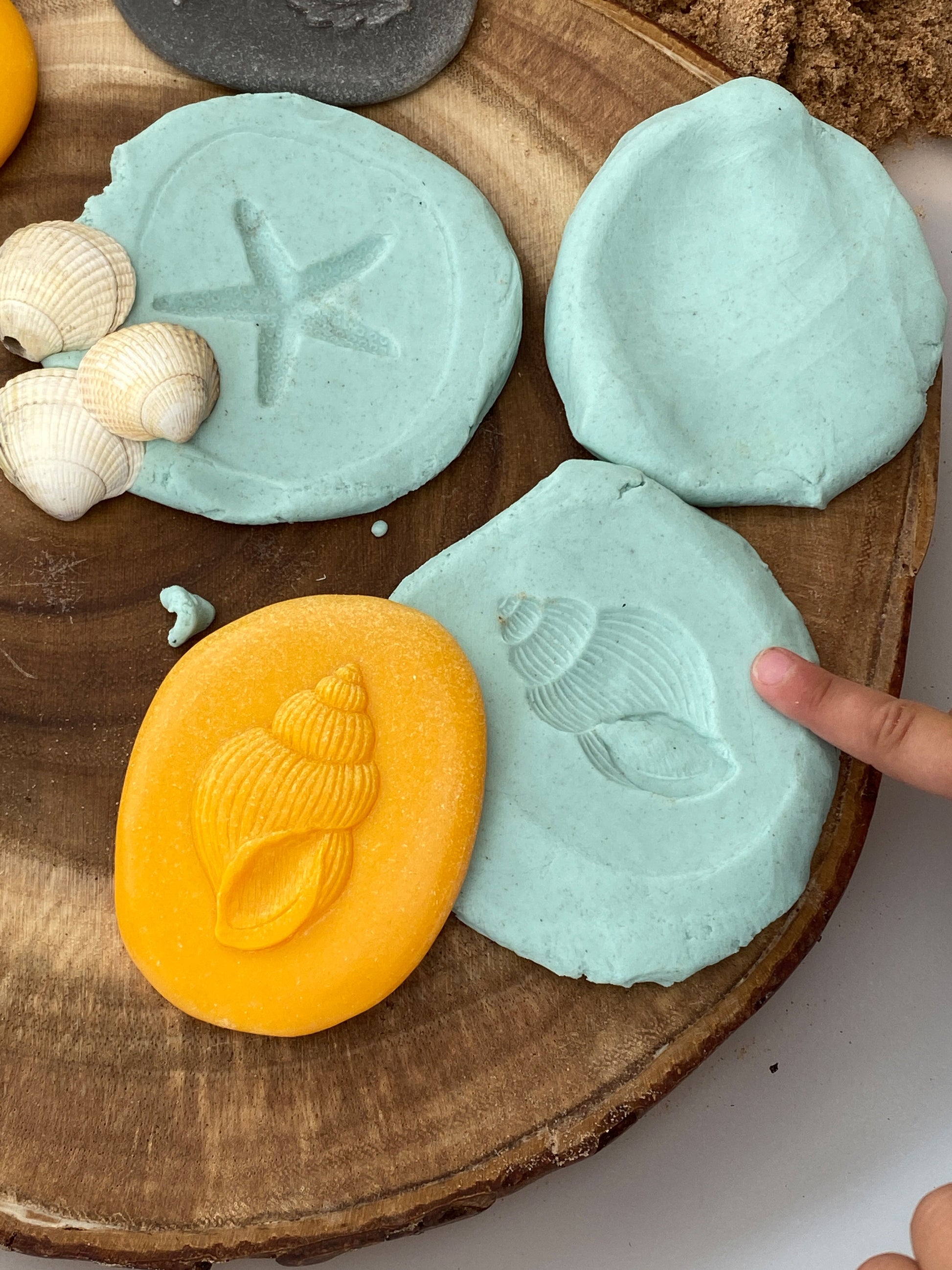 Lets Investigate Seashore | Learning and Exploring Through Play