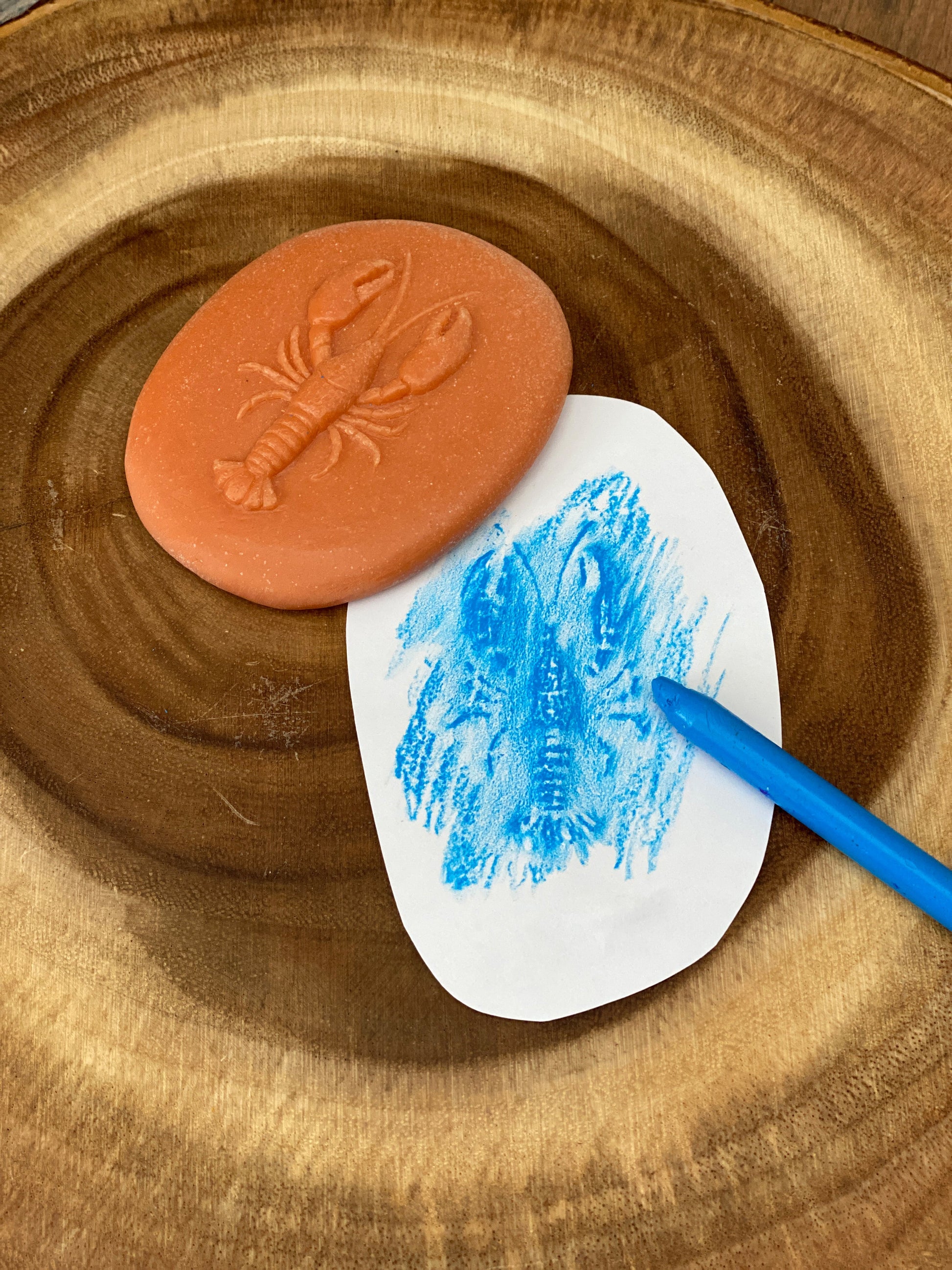 Lets Investigate Seashore | Learning and Exploring Through Play