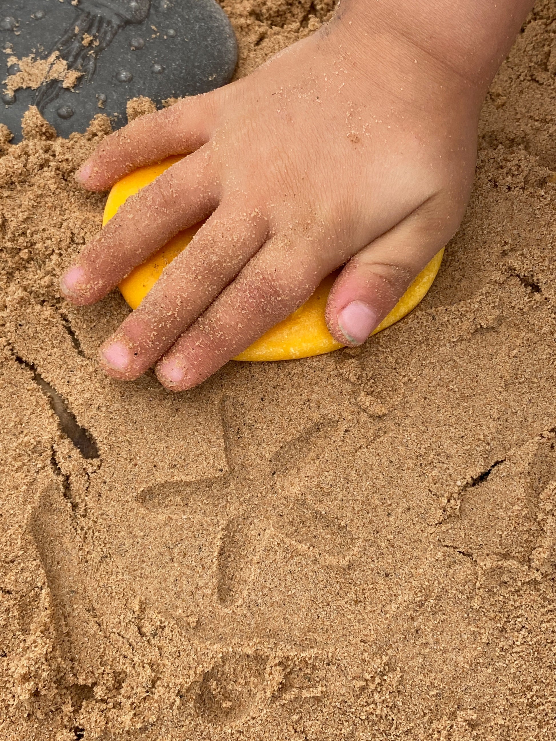 Lets Investigate Seashore | Learning and Exploring Through Play