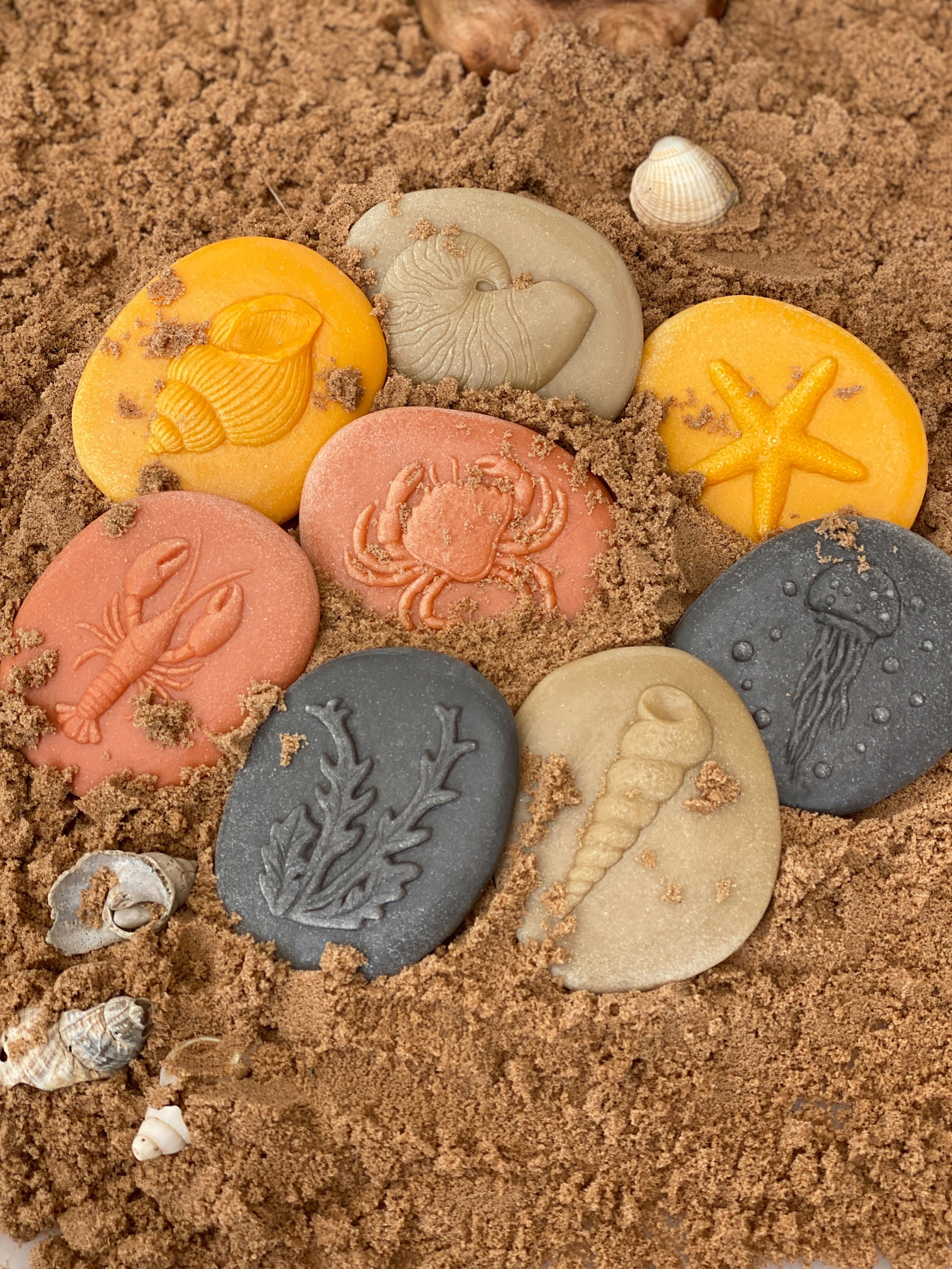 Lets Investigate Seashore | Learning and Exploring Through Play