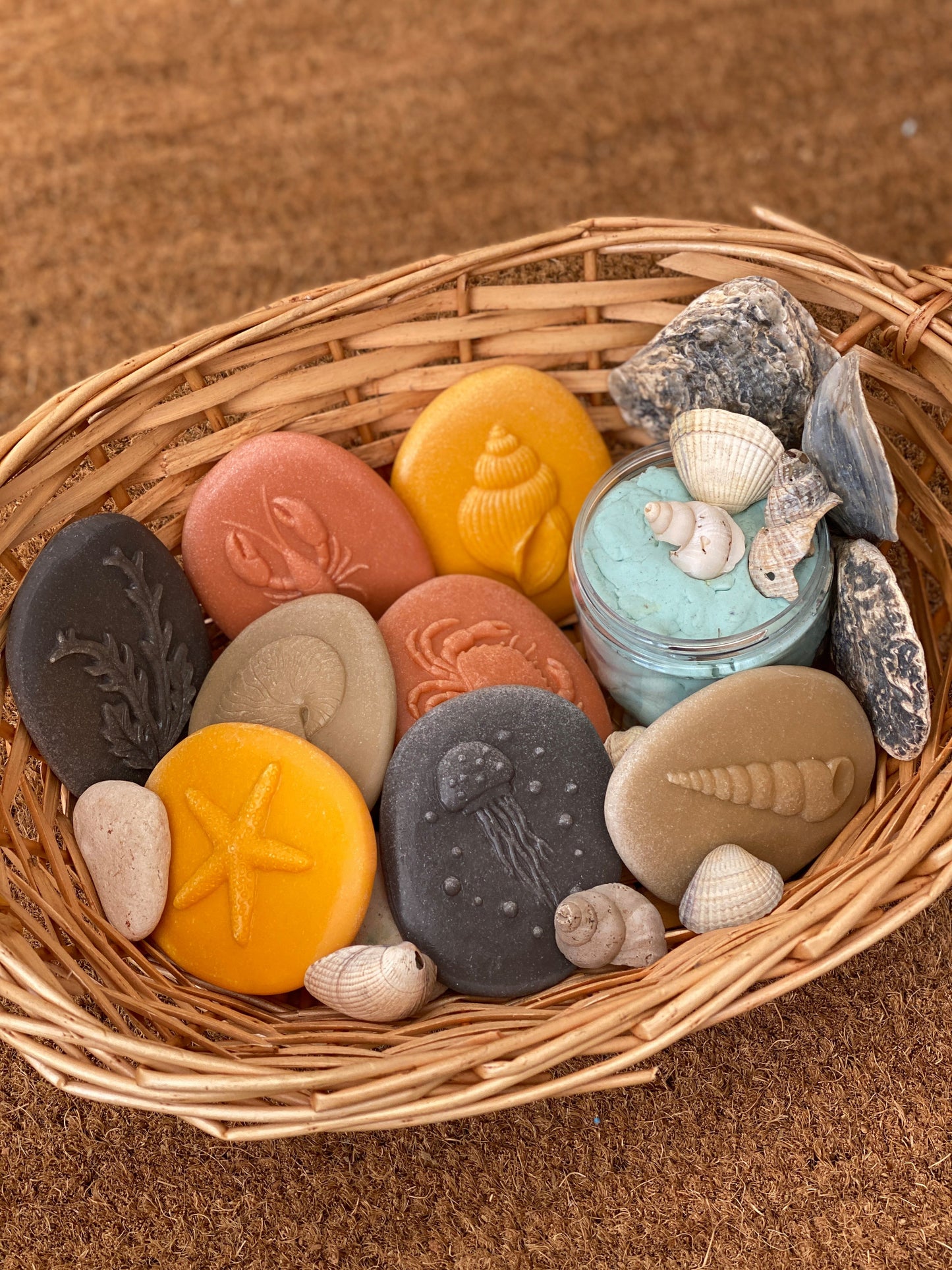 Lets Investigate Seashore | Learning and Exploring Through Play