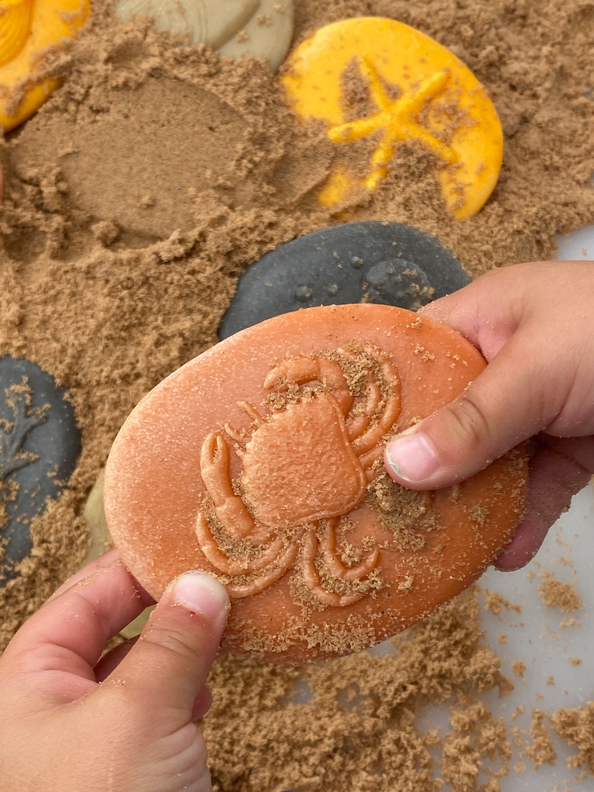 Lets Investigate Seashore | Learning and Exploring Through Play
