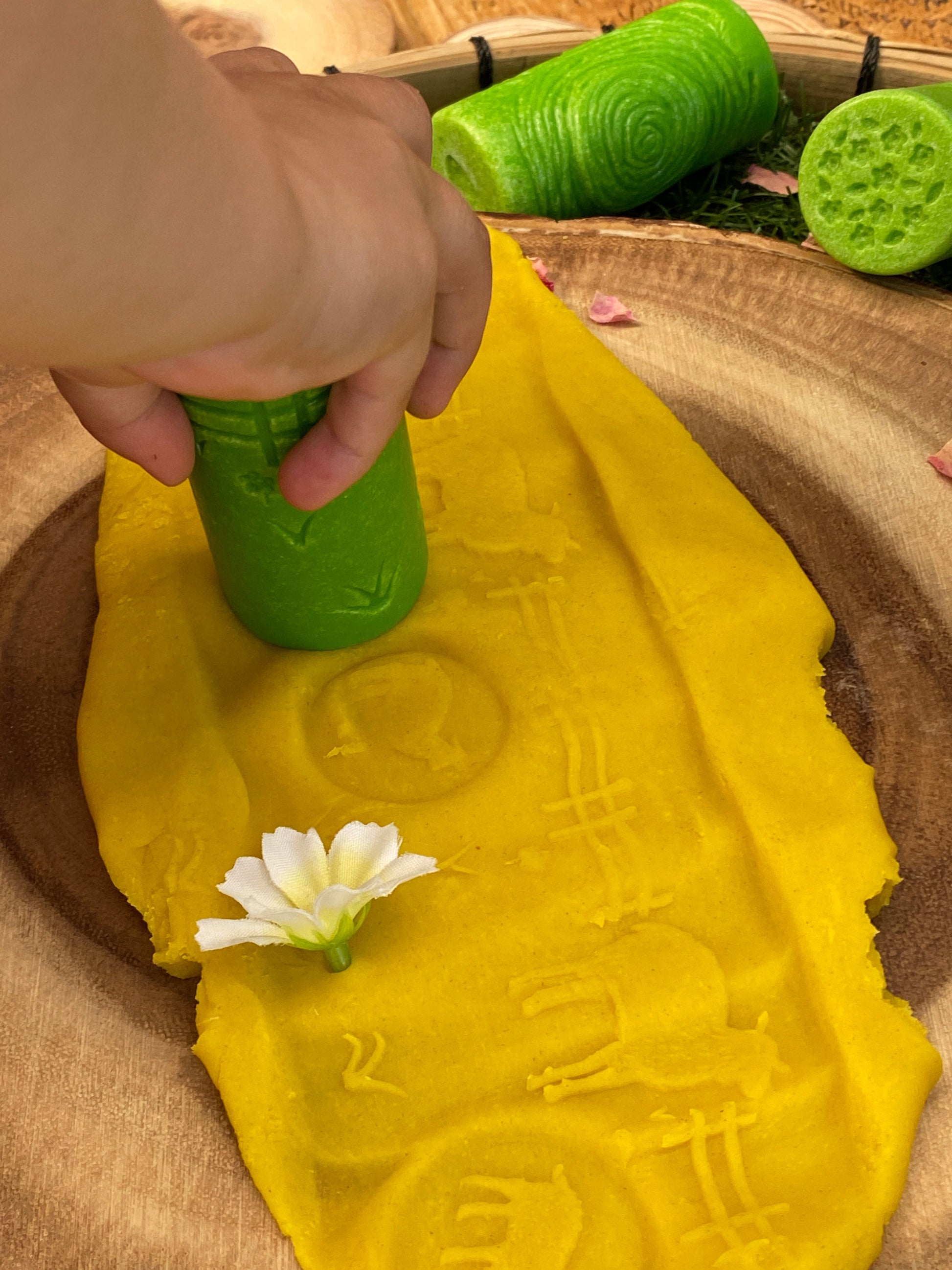 Lets Roll - Seasons | Learning and Exploring Through Play