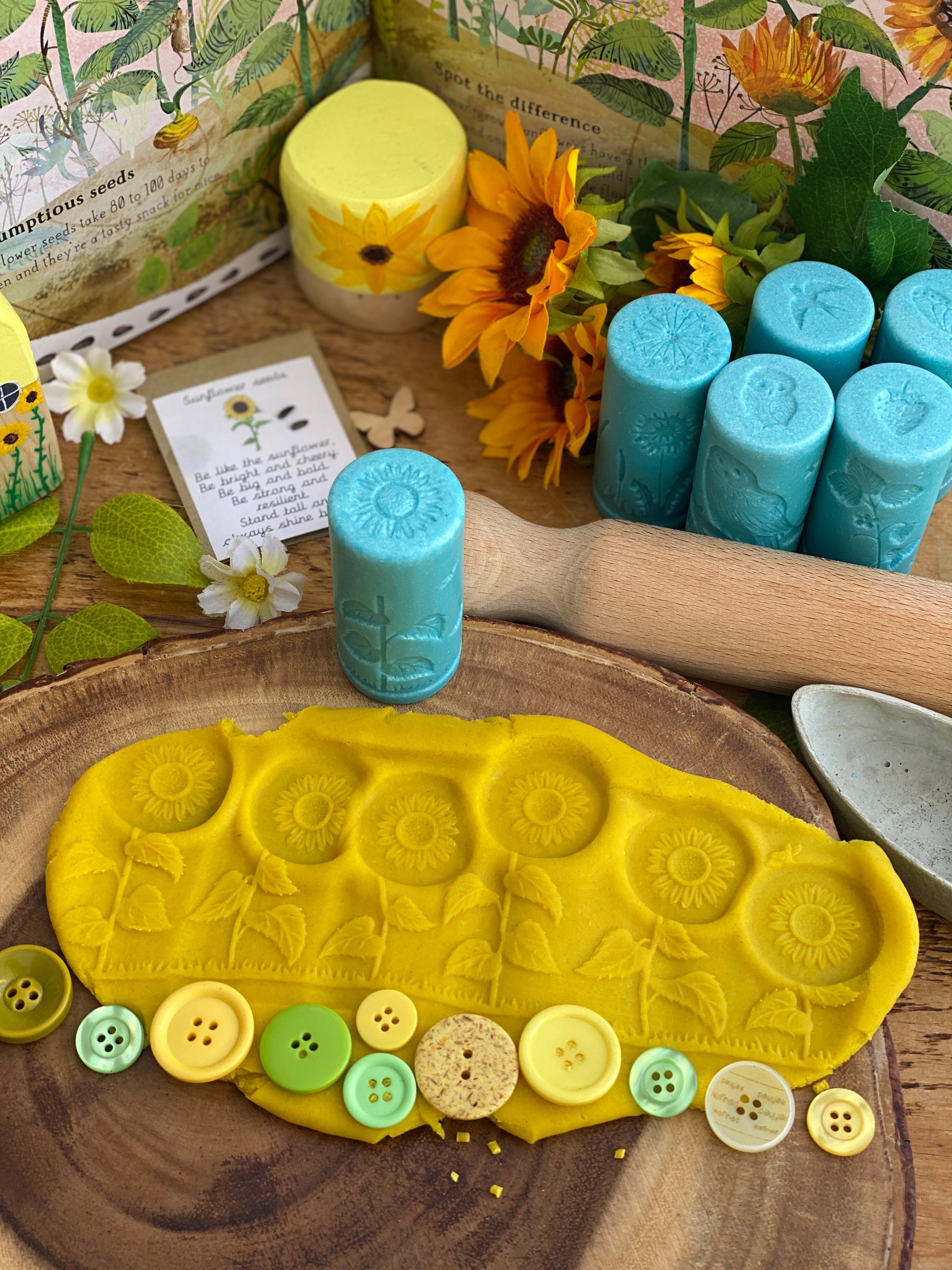 Lets Roll - Seasons | Learning and Exploring Through Play