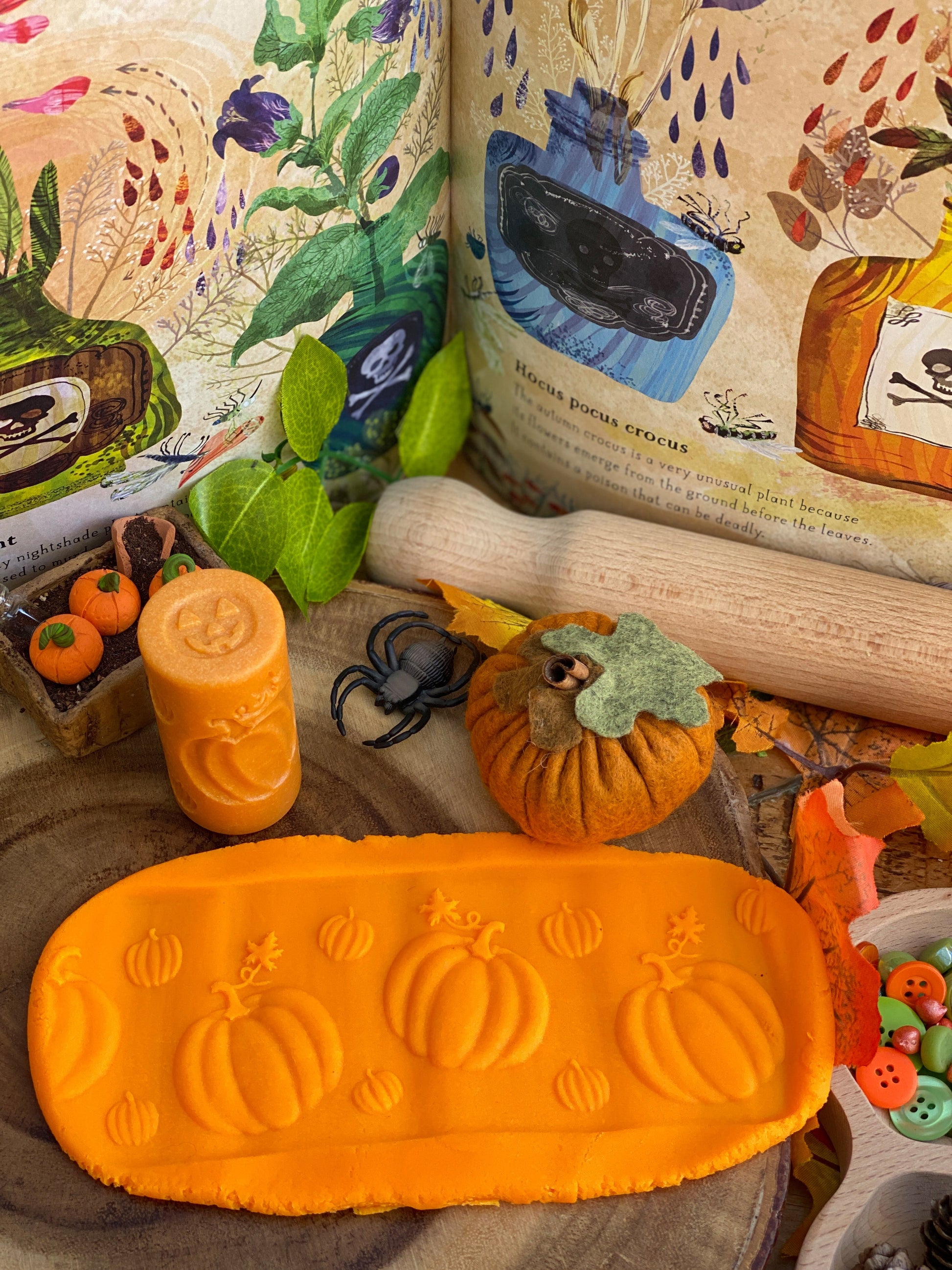 Lets Roll - Seasons | Learning and Exploring Through Play