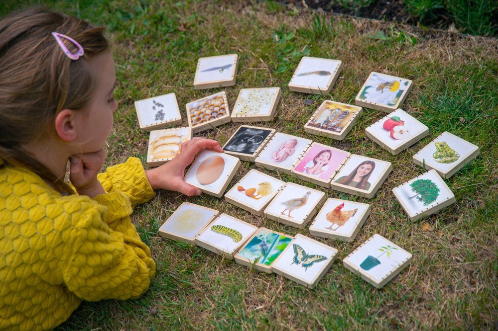 Wooden Lifecycle Tiles | Learning and Exploring Through Play