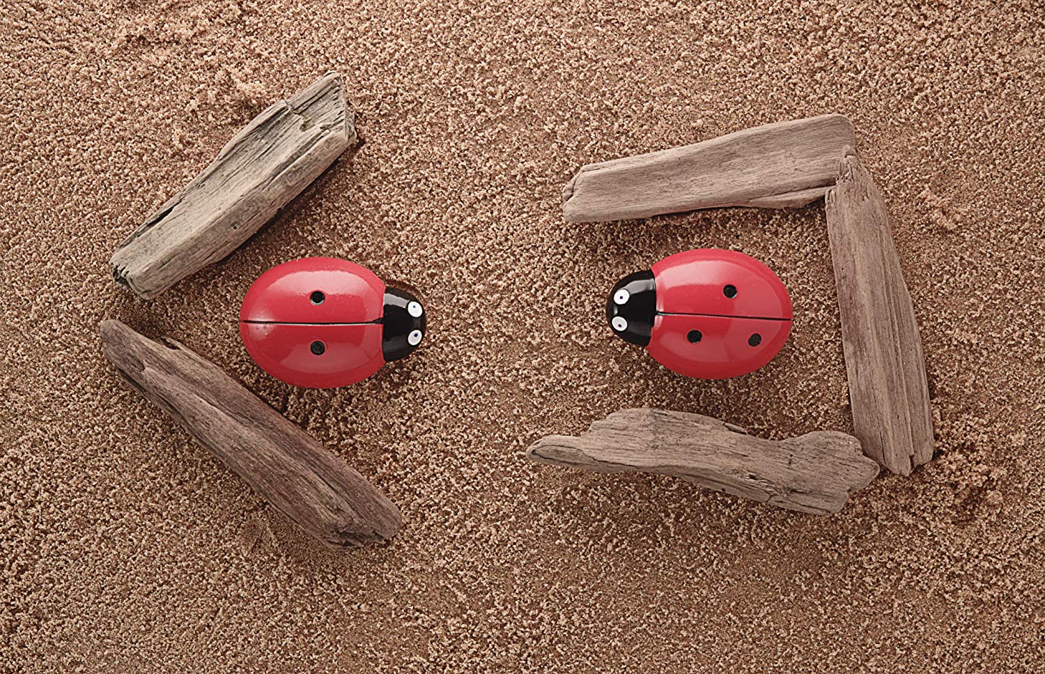 ladybugs counting pebbles - 5