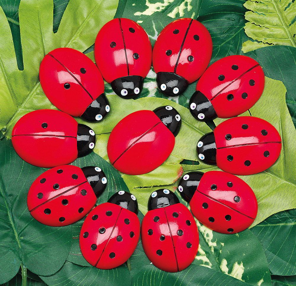 ladybugs counting pebbles - 3