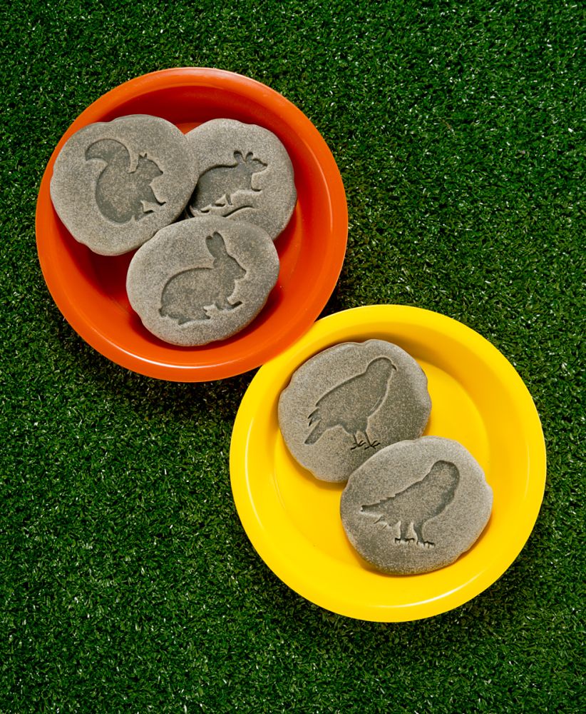 Let’s Investigate Woodland Footprints - 5