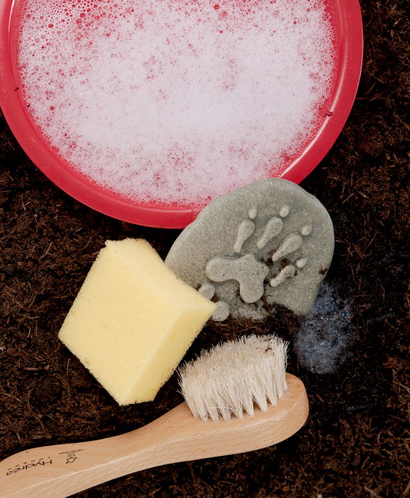 Let’s Investigate Woodland Footprints - 7