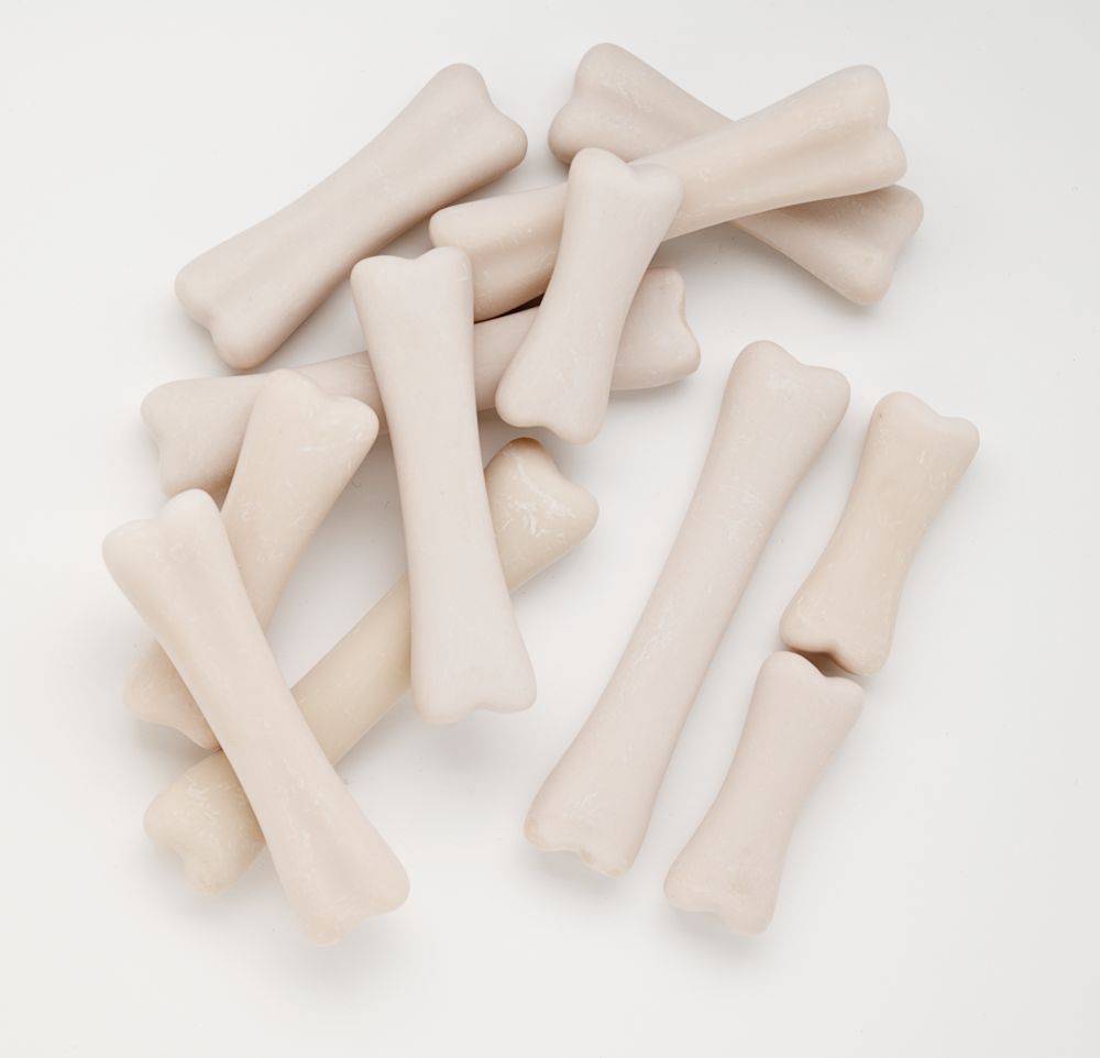 Dinosaur Bones Discovery Set - 4