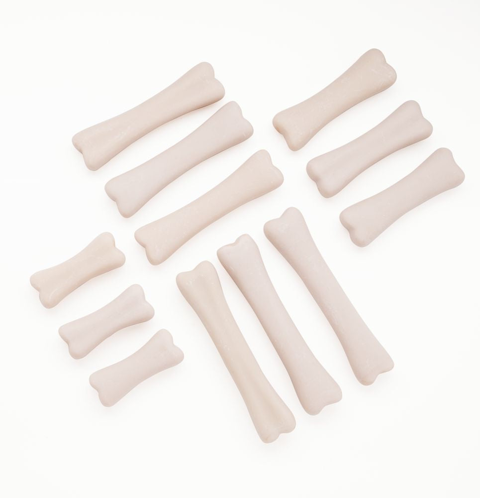 Dinosaur Bones Discovery Set - 5