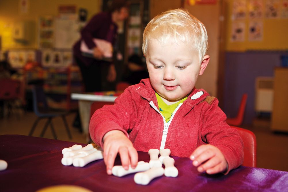 Dinosaur Bones Discovery Set - 6