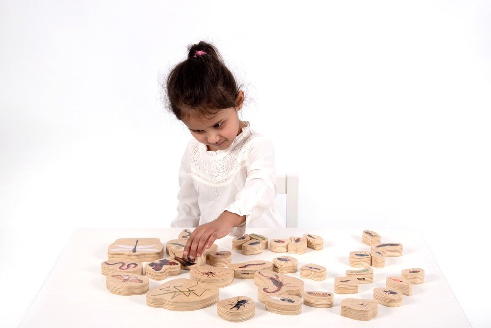 Wooden Minibeast Blocks | Learning and Exploring Through Play