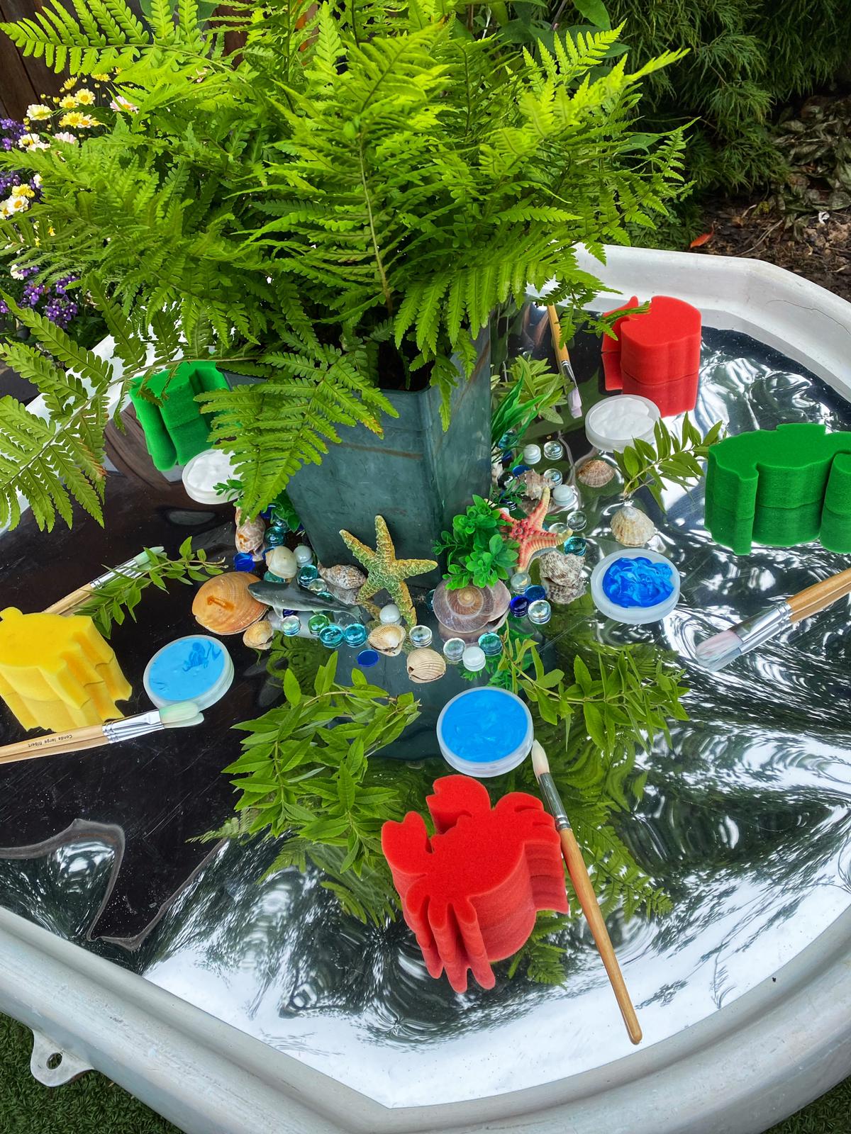 sea life sponges - 1