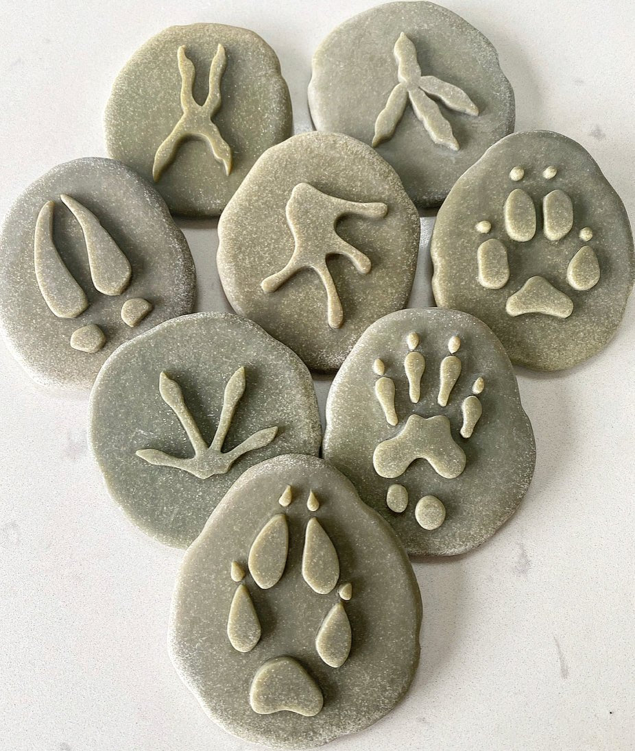 Let’s Investigate Woodland Footprints - 1