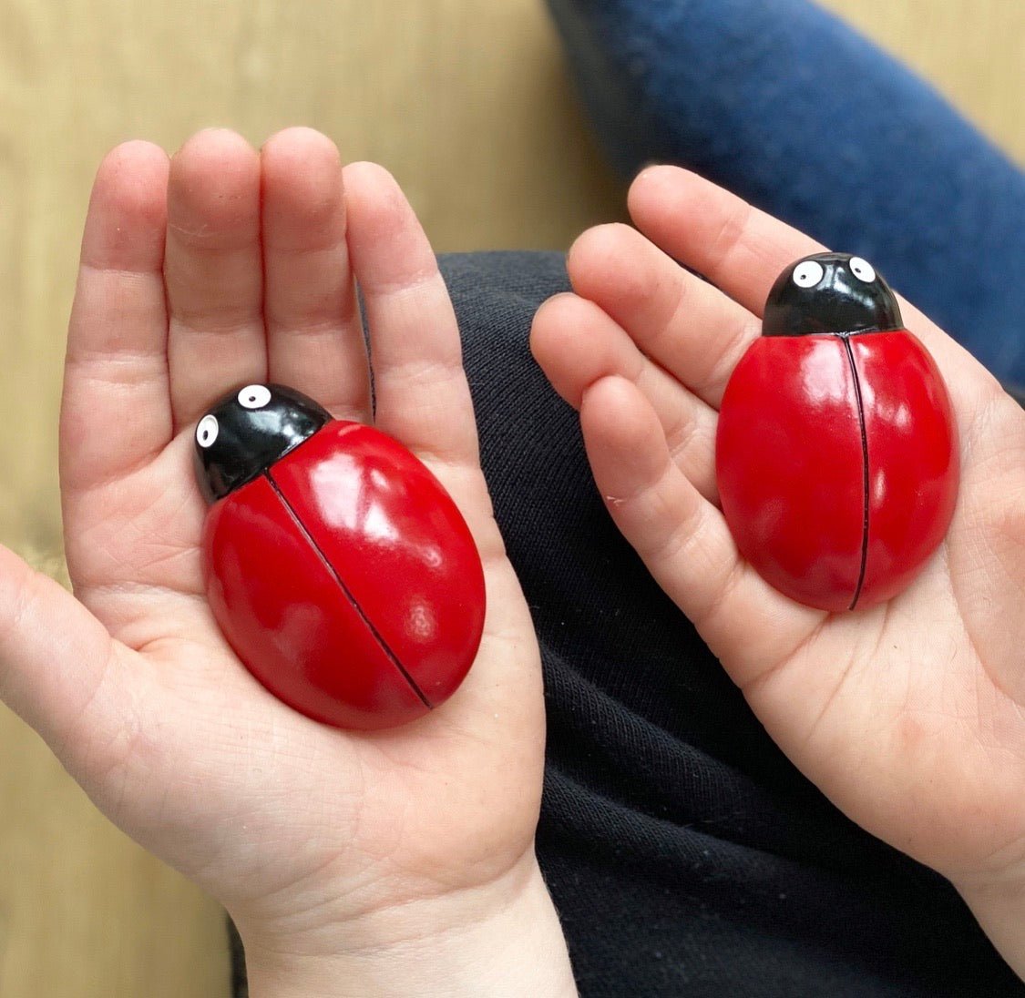 ladybugs counting pebbles - 4