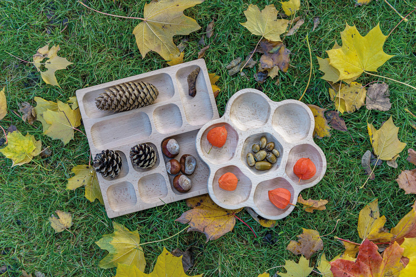 Natural Tinker Tray (9 section) | Learning and Exploring Through Play