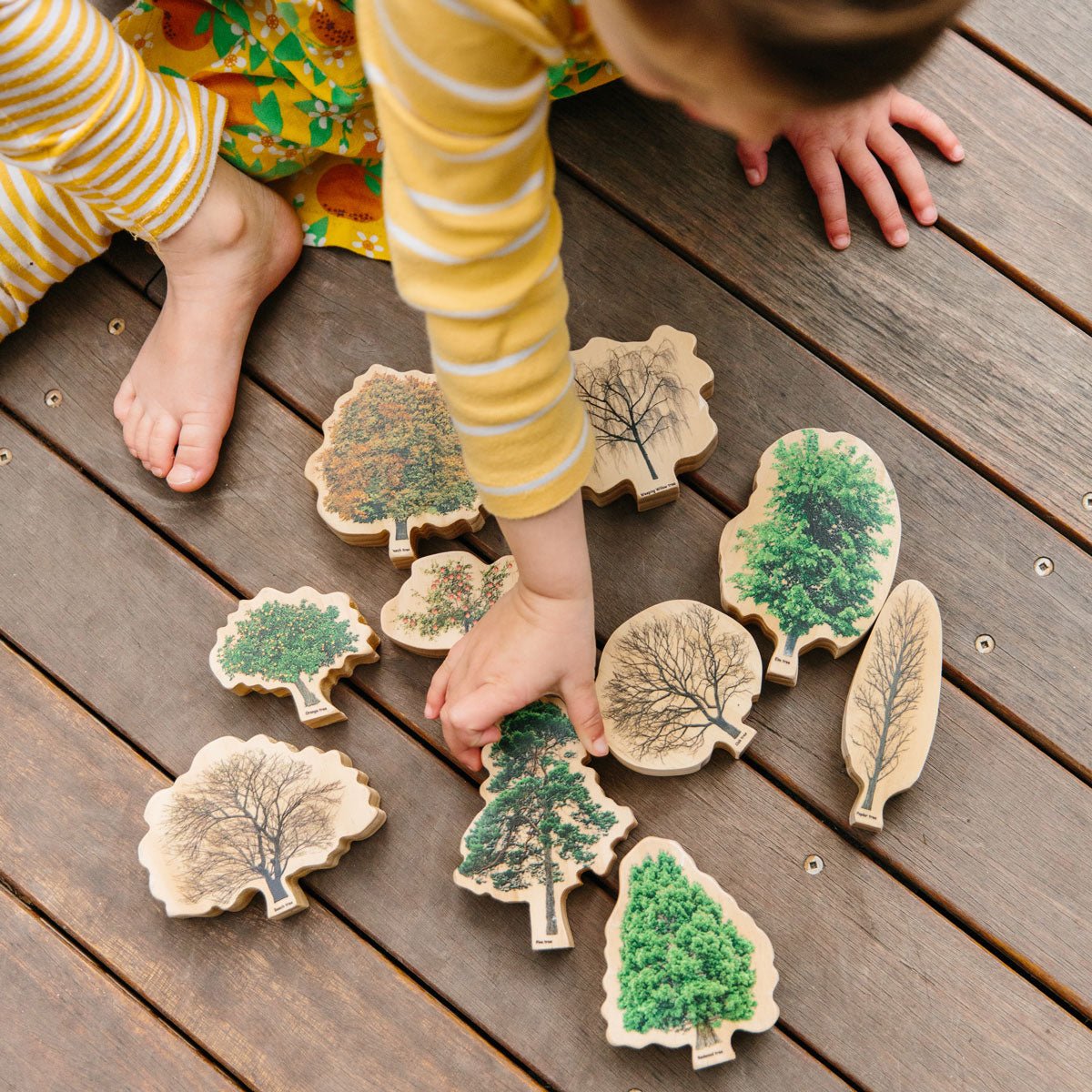 Trees Seasons | Learning and Exploring Through Play