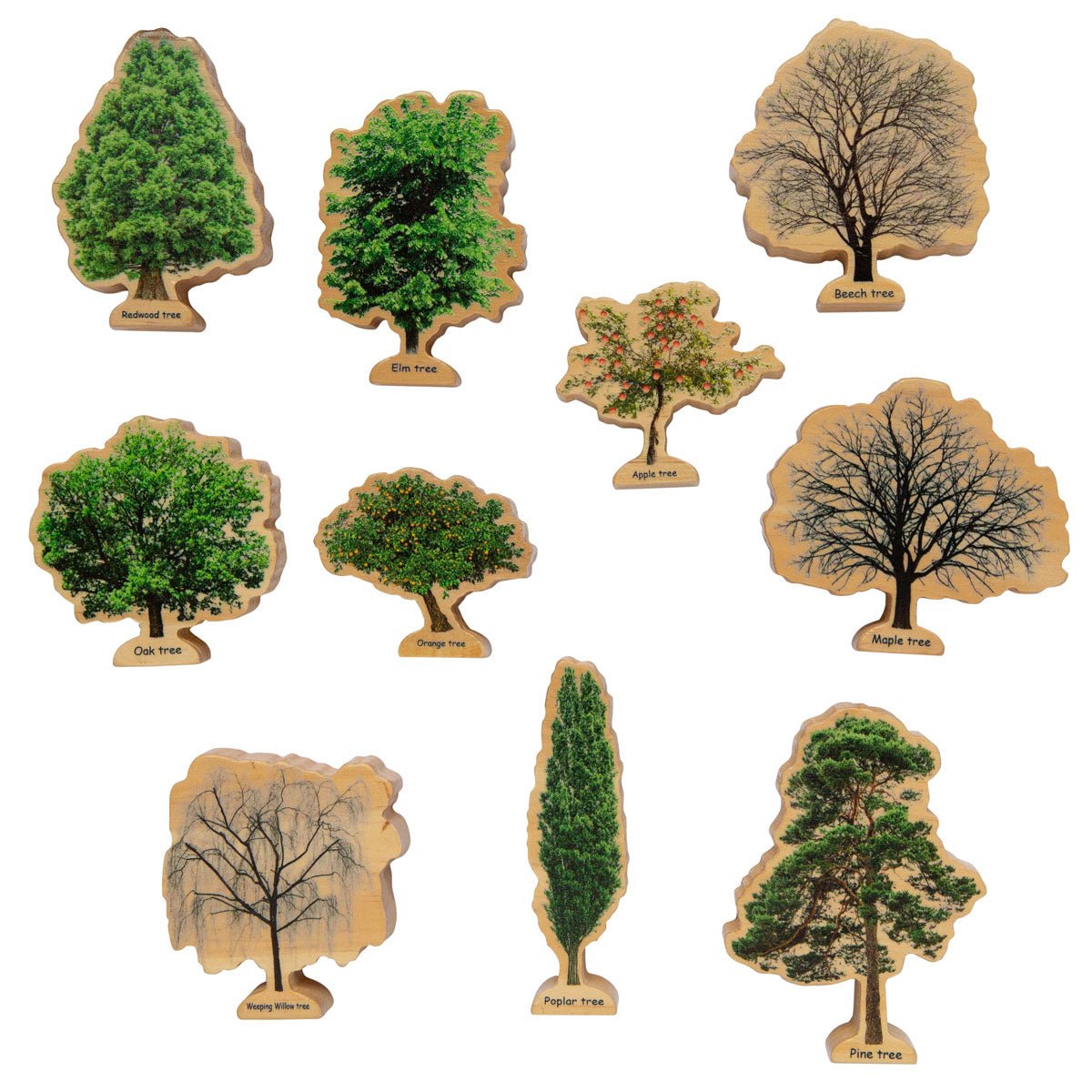 Trees Seasons | Learning and Exploring Through Play