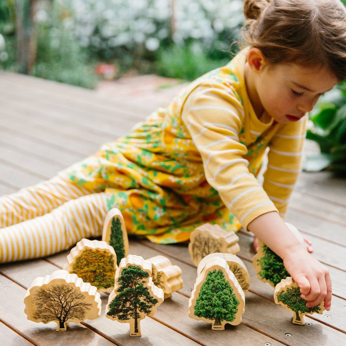 Trees Seasons | Learning and Exploring Through Play